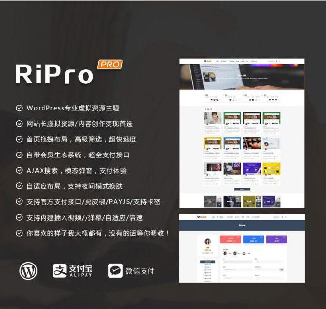最新WP+RiPro主题PJ版 功能强大插图