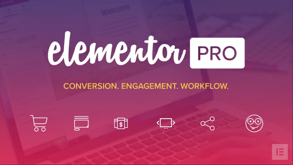 【Elementor Pro v2.10.0】WordPress插件+弹窗生成器+主题生成器+可视化拖拽编辑器插件+300多个Designer Made模板+专业版-大鹏源码网